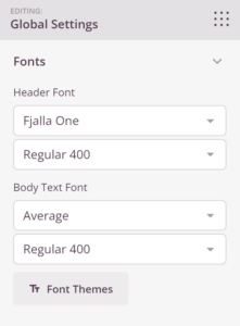Setting the global fonts in SeedProd