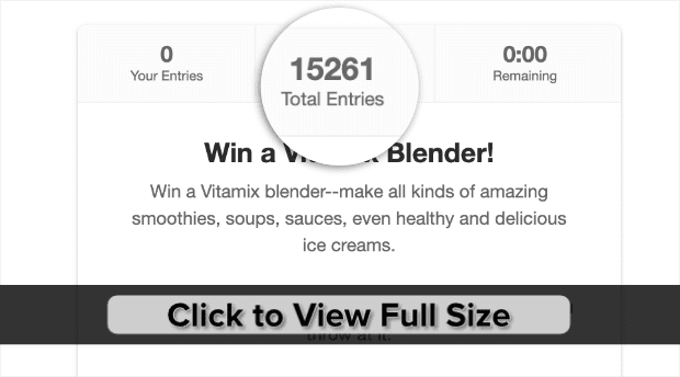 copy-vitamix-blender