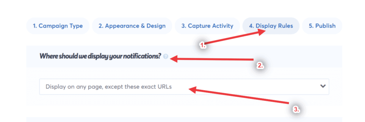 select the Display on any Page, except these exact URLs option